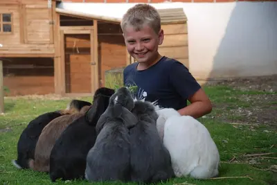 a boy sitting next to a group of rabbits at Hytteby – Hanstholm Camping – Thy Feriepark in Hanstholm