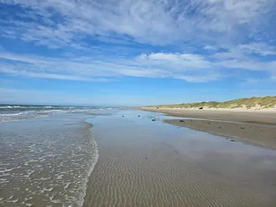 a beach with a few birds standing in the water at Seaside Serenity in Blokhus-By Traum in Blokhus