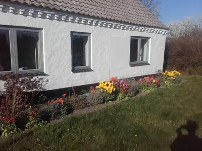 a white house with flowers in front of it at Lindholt in Fjerritslev