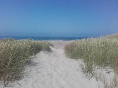 a path through the sand at the beach at Lindholt in Fjerritslev