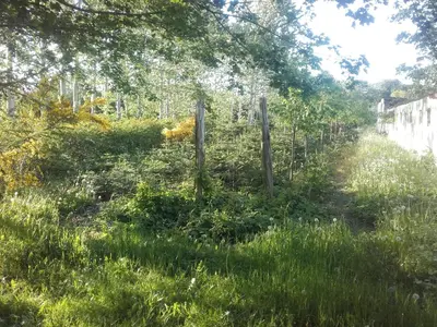 a fence in the grass next to a dirt road at Lindholt in Fjerritslev