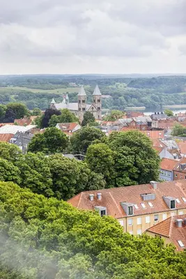 a view of a town with houses and trees at Peak 12 Hotel in Viborg