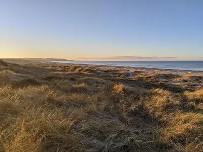 a beach with grass and the ocean in the background at 6 person holiday home in Brovst in Brovst