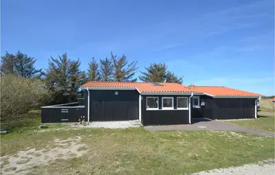 a black house with an orange roof at Amazing Home In Thisted With Kitchen in Thisted