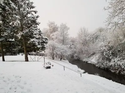 a snow covered park with a river and trees at Bente's Guesthouse in Holstebro