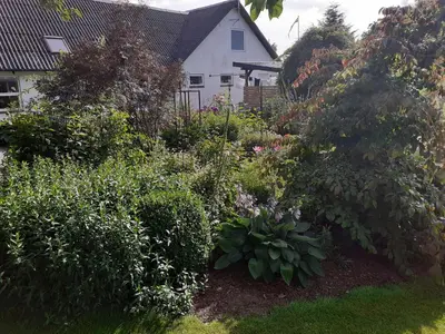 a garden with flowers and plants in front of a house at Brovst bed and breakfast in Brovst