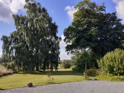 a garden with two weeping trees and a lawn at Brovst bed and breakfast in Brovst