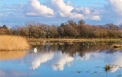 a white dog swimming in a lake with clouds in the sky at Cozy Home In Thyholm With Wifi in Thyholm