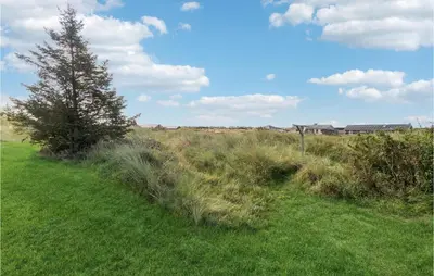 a grassy field with a tree in the middle at Amazing Home In Thisted With Wifi in Thisted