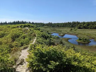 a river in the middle of a field with trees at 10 person holiday home in Thisted in Thisted