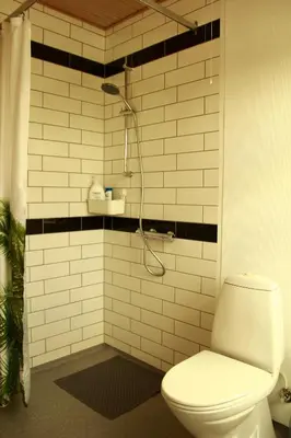 a bathroom with a toilet and a shower at Villa Nida in Ranum