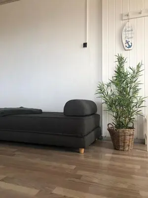 a black couch in a living room with a plant at Seaside VØ in Nørre Vorupør