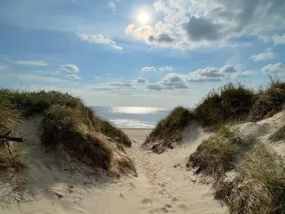a path through the sand on a beach at Tranquil Retreat in Thorsminde-By Traum in Ulfborg