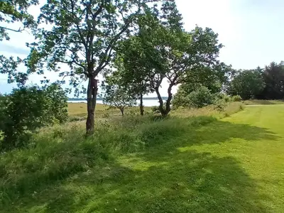 a grassy field with trees in the distance at 8 person holiday home in Skals in Skals