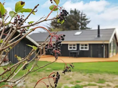 a bunch of blackberries on a tree in front of a house at Cozy Coastal Retreat in Gronhoj-By Traum in Løkken