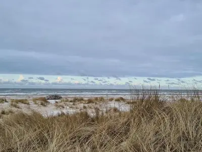 a beach with grass and a body of water at 4 person holiday home in Fjerritslev in Fjerritslev