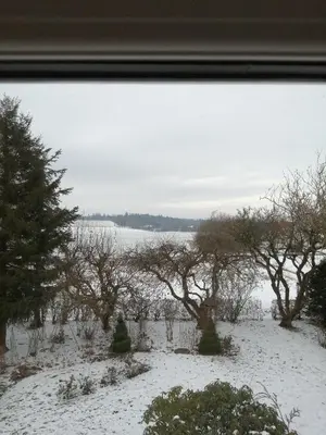 a view of a snowy field with trees at Stenhøj Bed and Breakfast, v. Jette og Marius in Erslev
