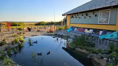 a pond in front of a house with ducks in it at Bygholm Camping og aktiviteter in Vesløs