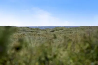 a field of grass with the ocean in the background at Cozy house with stunning sea views in Pandrup