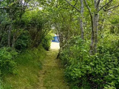 a path through a forest with trees and grass at 6 person holiday home in Hurup Thy in Sønder Ydby