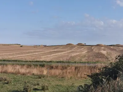 an open field with a field of crops at Rikke og Franks Svineri in Lemvig
