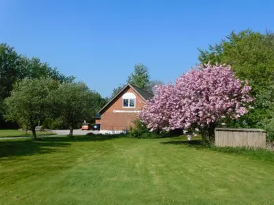 a house with a pink flowering tree in the yard at Fewo Skjærnsøde in Fjerritslev