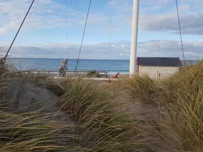 a cat sitting on a beach near the ocean at Fiskerhuset in Agger