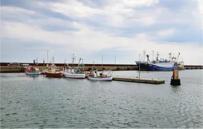 a group of boats are docked in a harbor at Klitborgen in Harboør