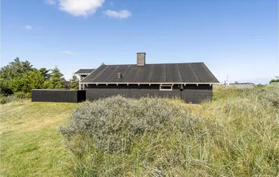 a black house with a black roof on top of a field at Holiday Home Grårisvej Thisted Vi in Thisted