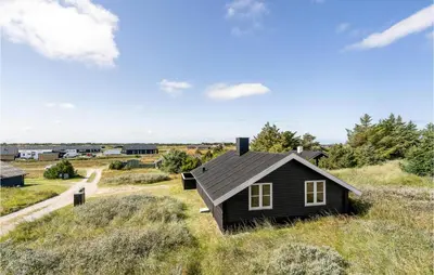 a small black house on a hill in a field at Holiday Home Grårisvej Thisted Vi in Thisted