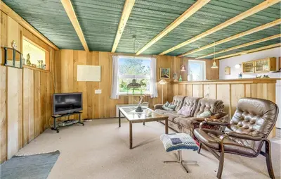 a living room with a couch and a tv at Holiday Home Sølvmågevej Hurup Thy Ii in Sindrup