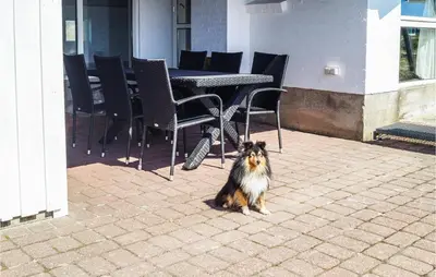 a dog sitting in front of a table and chairs at Amazing Home In Thisted With Sauna in Thisted