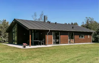 a house with a black roof on a grass field at Holiday Home Bronzehøjen Højslev in Højslev