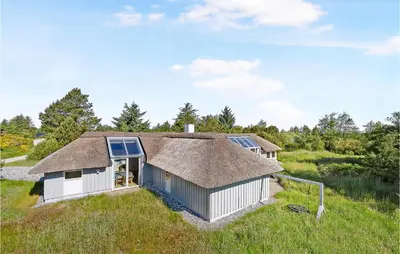 a house with a thatch roof on top of a field at Holiday Home Tulipanvej Fjerritslev I in Fjerritslev
