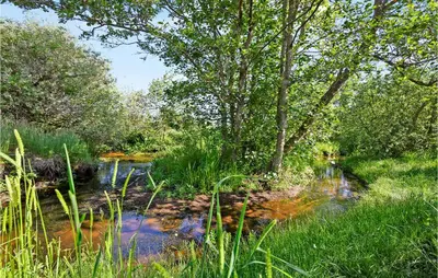 a small river with trees and grass in a field at Holiday Home Tulipanvej Fjerritslev I in Fjerritslev
