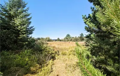 a trail through a field with trees and a blue sky at 4 Bedroom Cozy Home In Brovst in Brovst