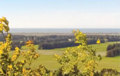 a view of a green field with trees in the background at Holiday Home Strandvejen Brovst Denm in Brovst