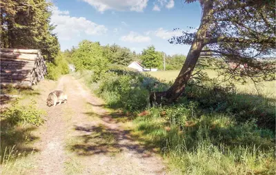 a dog walking down a dirt road in a field at Holiday Home Strandvejen Brovst Denm in Brovst