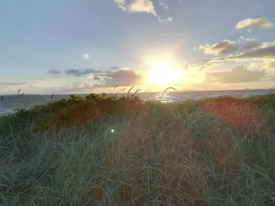 a field of tall grass with the sunset in the background at 6 person holiday home in Løgstør in Løgsted