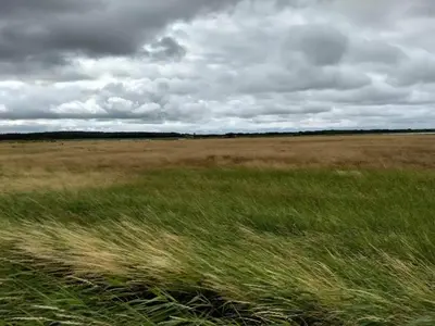 a field of tall grass with a cloudy sky at 8 person holiday home in Løgstør-By Traum in Løgstør