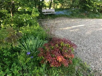 a garden with flowers and a bench on the side of a road at Landevejens B&B Holstebro in Holstebro