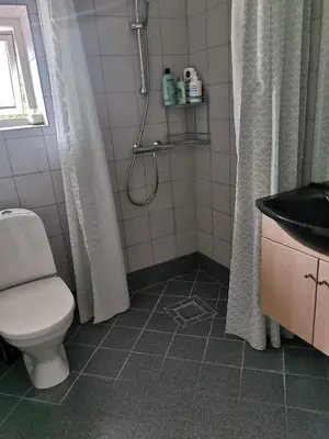 a bathroom with a toilet and a shower and a sink at Kørestolsvenligt dbl. vær. in Nykøbing Mors