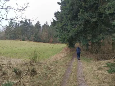 a person walking down a dirt road in a field at 8 person holiday home in Brovst-By Traum in Brovst