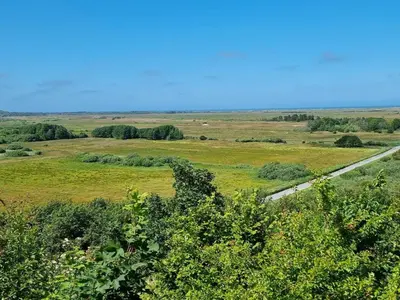 an open field with a road in the middle at 8 person holiday home in Brovst-By Traum in Brovst
