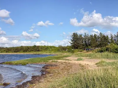 a beach with water and trees and clouds in the sky at 6 person holiday home in Farsø-By Traum in Farsø
