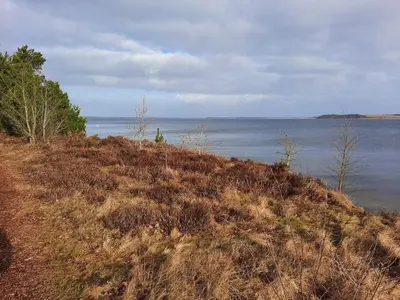 a grassy hill next to a body of water at 6 person holiday home in Højslev-By Traum in Højslev