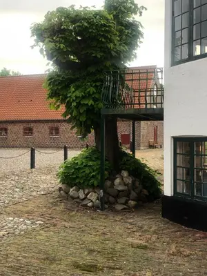 a tree in a pile of rocks next to a building at Skærum Mølle in Vemb