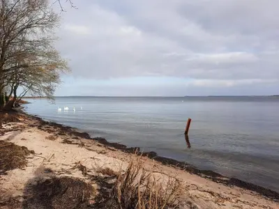 a body of water with white swans in it at 8 person holiday home in Højslev-By Traum in Højslev