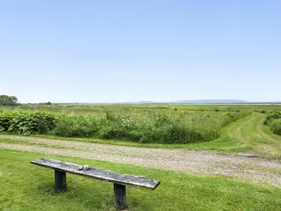 a bench sitting in the grass near a dirt road at 8 person holiday home in Vesløs-By Traum in Vesløs