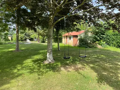 a tree with two swings in a yard at Room 4 - Hawkraft kulturhotel in Vestervig